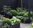 Deko Holz Garten Genial Holzlagerung Im Garten — Temobardz Home Blog