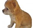 Deko Hund Garten Elegant Welt Der Tiere Chihuahua Hund Deko Garten Tier Figur Chiwawa