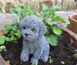 Deko Hund Garten Genial Gartenfiguren & Skulpturen Gartenfigur Hund Malteser Bichon