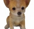 Deko Hund Garten Schön Welt Der Tiere Chihuahua Hund Deko Garten Tier Figur Chiwawa