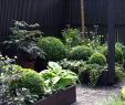 Deko Ideen Für Hauseingang Frisch Kleine Gärten Gestalten Reihenhaus — Temobardz Home Blog