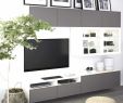 Deko Kaufen Luxus Pflanzen Im Wohnzimmer — Temobardz Home Blog