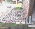 Deko Mauer Garten Frisch Gartengestaltung Mit Holz Und Stein — Temobardz Home Blog