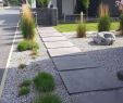 Deko Mauer Garten Inspirierend 32 Elegant Bewegungsmelder Garten Schön
