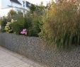 Deko Mauer Im Garten Luxus Natursteinmauer Anlegen – Tipps Für Unterschiedlichen