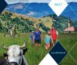 Deko Pflanzen GroÃŸ Genial Summer Practical Guide 2017 Reisefuhrer La Bresse 2017 by