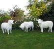 Deko Schaf Garten Best Of Schaffamilie Weiß Strukturiert Patina 3 Schafe Kopf Gerade Kopf Unten & Kopf Zur Seite