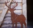 Deko Tiere Aus Metall Schön Pin Von Tina Horn Auf Deer Point Lodge