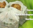Deko Vögel Garten Genial Yantai Bagease Packaging Products Co Ltd Biodegradable