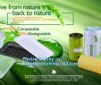 Deko Vögel Metall Neu Yantai Bagease Packaging Products Co Ltd Biodegradable