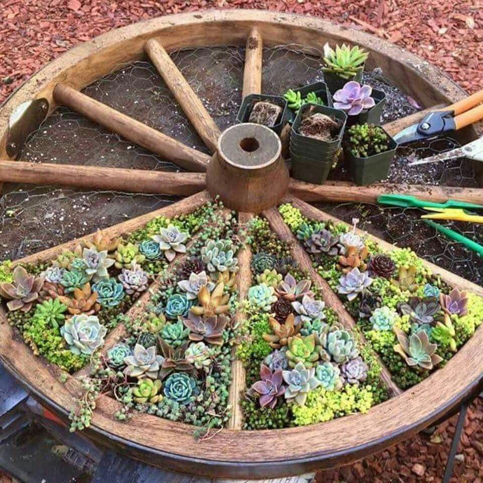 Deko Wagenrad Frisch What An Amazing Gardening Idea