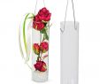 Deko Zum HÃ¤ngen FÃ¼r DrauÃŸen Luxus Rohr Vase Aus Glas Zum Hängen 18 Cm