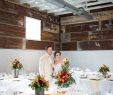 Dekoration sommer Inspirierend Fullscreen Page Wedding Planner Texas