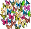 Dekostecker Garten Elegant Hakacc Schmetterling Einsatz 50 Stück 9 Cm Garten Schmetterling ornaments Wasserdicht Deko Schmetterling Für Innenbereich Außenbereich Garten
