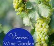 Dekosteine Garten Groß Best Of 48 Best Wine Travel Images