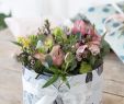 Diy Bastelideen Garten Schön Diy Video How to Make A Homemade Flower Box for the