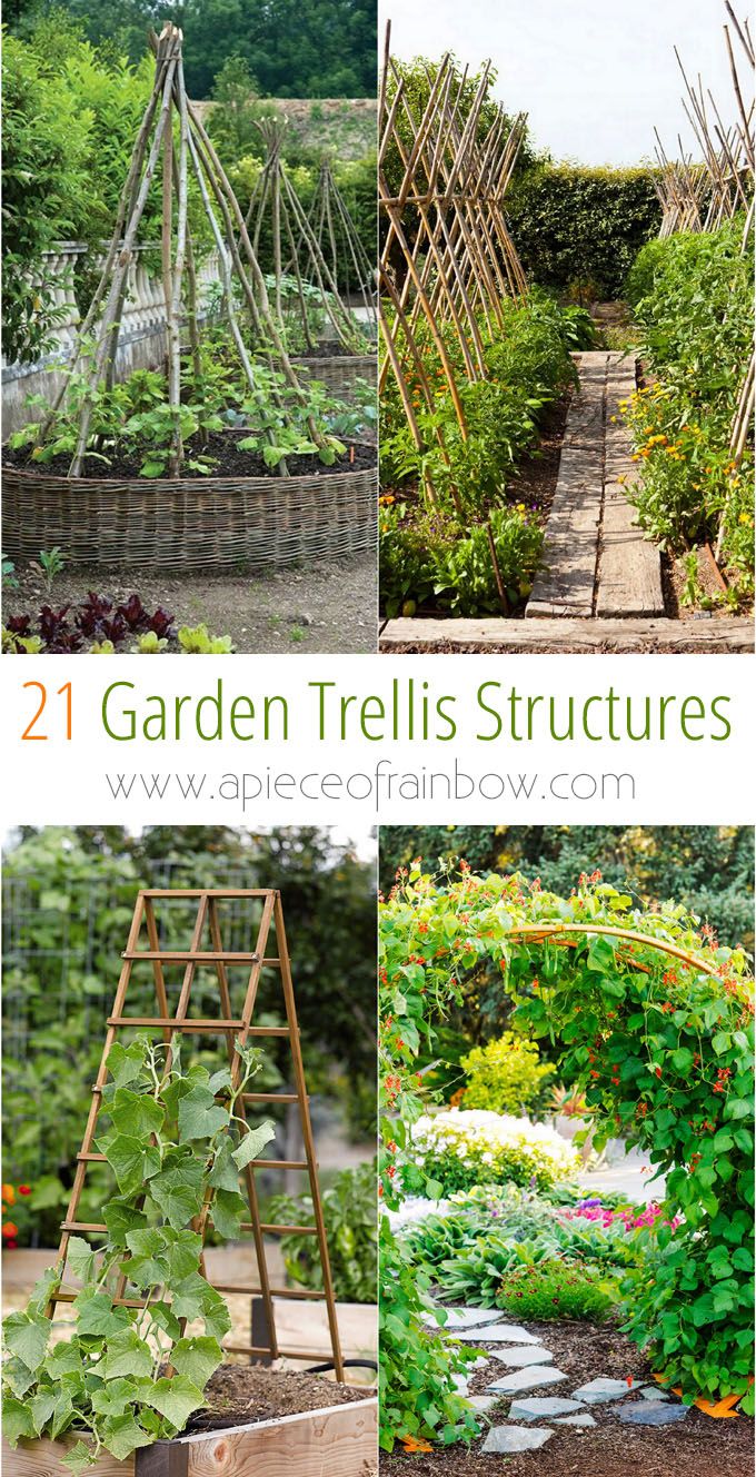 Diy Garten Einzigartig 21 Easy Diy Garden Trellis Ideas & Vertical Growing