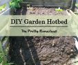 Diy Garten Frisch Build A Diy Garden Hotbed for Free – the Pretty Homestead