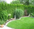 Diy Gartendeko Inspirierend Mini Herb Garden Awesome Garten Deko Ideen Zum Selber Machen