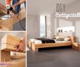 Diy Holz Inspirierend 25 Popular Hardwood Floor Repair Greenville Sc