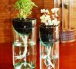 Diy Ideen Garten Neu 23 Popular Garden Vases