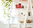 Diy Regal Genial 35 Most Wonderful Diy Shelves Design Easy to Make Itself