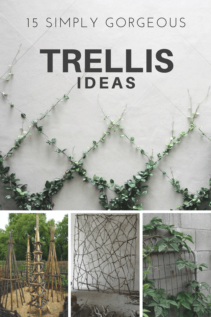Do It Yourself Garten Best Of 15 Simply Gorgeous Trellis Ideas