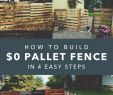 Do It Yourself Garten Genial 27 Diy Cheap Fence Ideas for Your Garden Privacy or