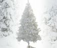 Edelrost Baum Inspirierend Weihnachtsbäume Mehr Als Angebote Fotos Preise