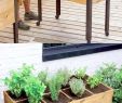 Einfache Gartenideen Schön 35 Indoor Garden Ideen Für Anfänger Auf Kleinem Raum