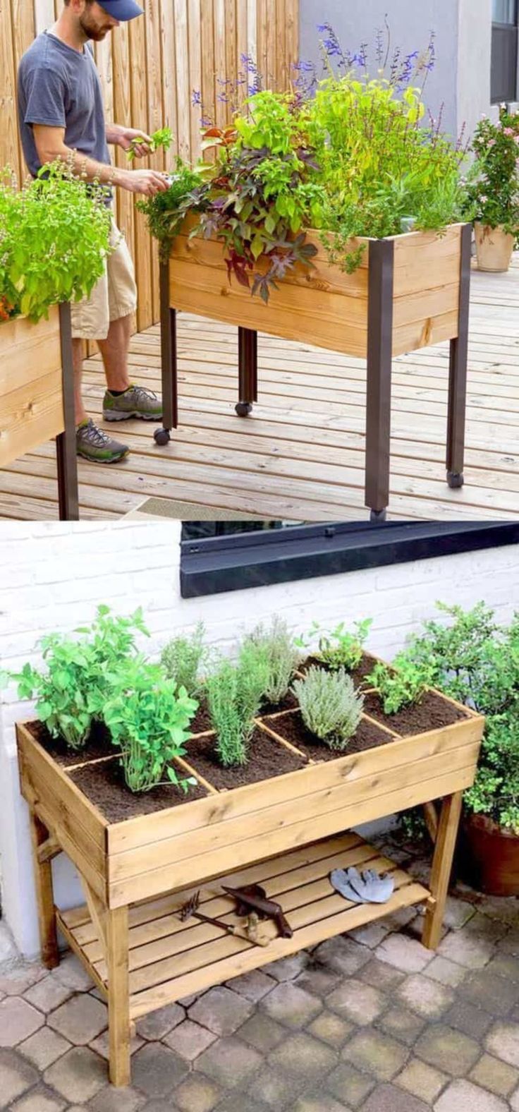 Einfache Gartenideen Schön 35 Indoor Garden Ideen Für Anfänger Auf Kleinem Raum