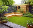 Einfache Gartenideen Schön 41 Pretty Small Terrace Gardening Ideas