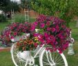 Fahrrad Deko Garten Elegant Pin by Joyce Willits On Ideas I Love
