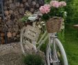 Fahrrad Deko Garten Elegant Walaa Angelwalaa94 On Pinterest