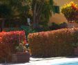 Flora Garten Frisch Finca La Roseta Prices & Hotel Reviews Valle Gran Rey