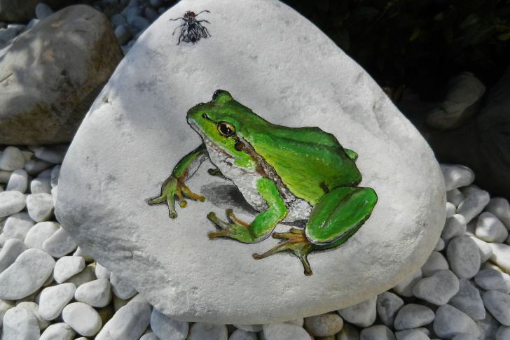 Frosch Deko Garten Einzigartig Frosch Mit Fliege Auf Stein Etwas Anspruchsvoller Für Den