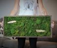 Garten Am Hang Ideen Bilder Genial Moss Art Preserved Wall Hanging Natrual Home Decor