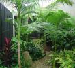 Garten Ambiente Elegant 10 Awesome Ideas How to Craft Small Tropical Backyard Ideas