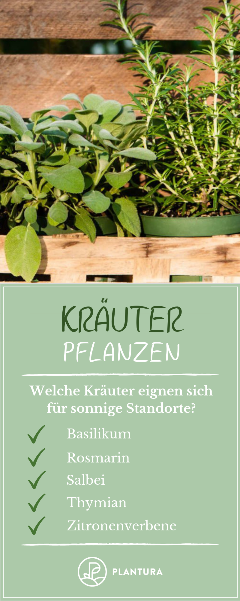 Garten Anbau Schön Kräuter Pflanzen Anleitungen & Tipps Für Fensterbrett