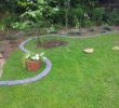 Garten Anlegen Lassen Best Of Rasenkantensteine Leicht Und Einfach Verlegen Pflanzbeete