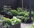 Garten Dekorieren Ideen Schön Japanischer Garten Kaiserslautern Elegant Maschendrahtzaun