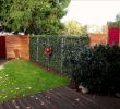 Garten Einrichten Frisch Vorgarten Gestalten nordseite — Temobardz Home Blog