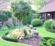 Garten Einrichten Luxus Alten Garten Neu Anlegen — Temobardz Home Blog