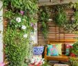 Garten Einrichten Schön 40 Terrassengestaltung Bilder Erneuern Sie Ihre Terrasse