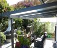 Garten Für Kinder Gestalten Genial Pflanzen Sichtschutz Terrasse Kübel — Temobardz Home Blog