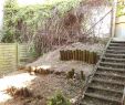Garten Für Kinder Gestalten Neu Pflanzen Sichtschutz Terrasse Kübel — Temobardz Home Blog