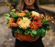 Garten Geschenke Selber Machen Elegant Herbstbasteln Ideen Für Herbstlichen Bastelspaß