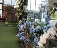 Garten Geschenke Selber Machen Inspirierend Floral Fantasy Singapur Aktuelle 2020 Lohnt Es Sich