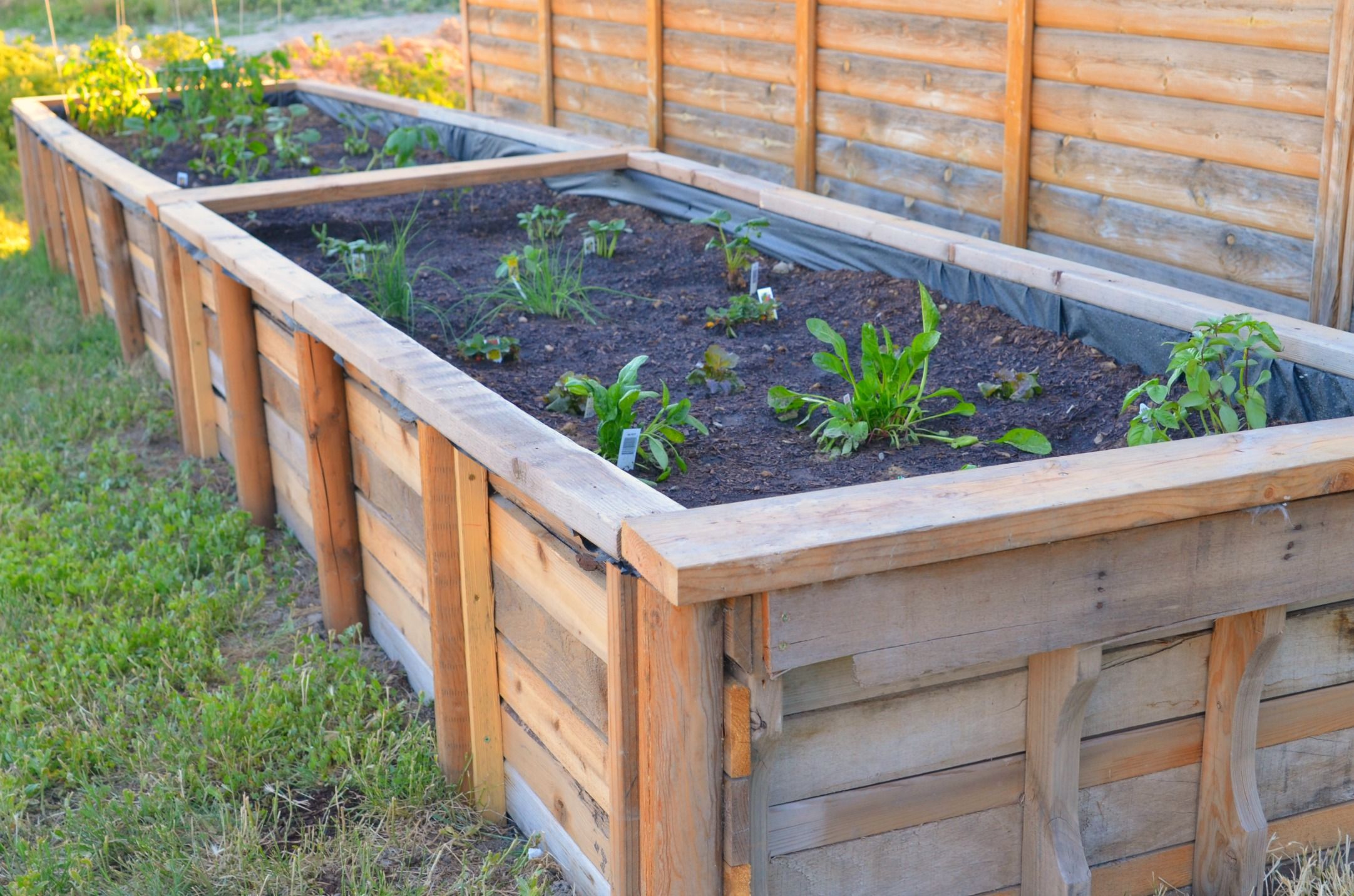 Garten Hochbeet Neu Holz Zum Bau Von Hochbeeten Diy Gemüse