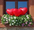Garten Hochzeit Deko Inspirierend Die Einfachste Hochzeitsdeko Der Welt Herzballons